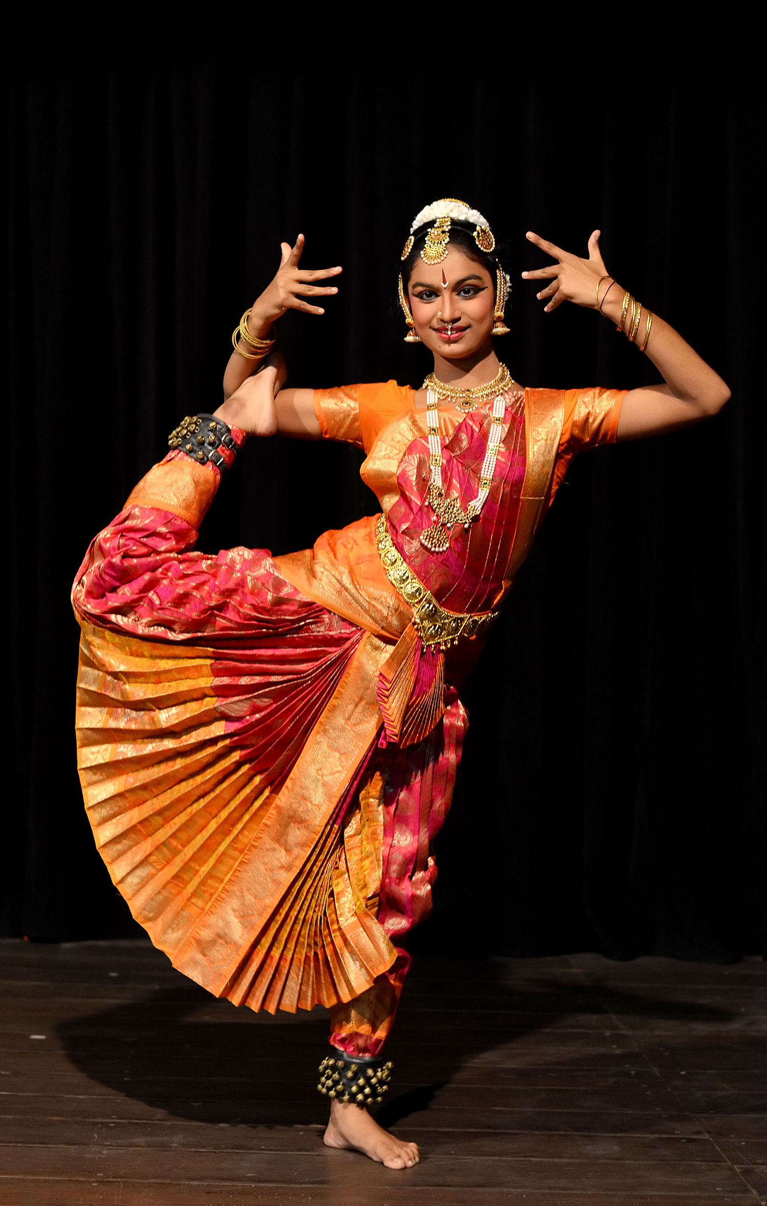 a time to dance by padma venkatraman